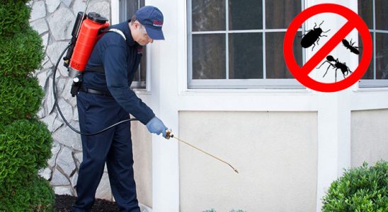 Palandöken Böcek ve Haşere İlaçlama böcek ilaçlama ve haşere kontrolü — ilaclama-tr.com